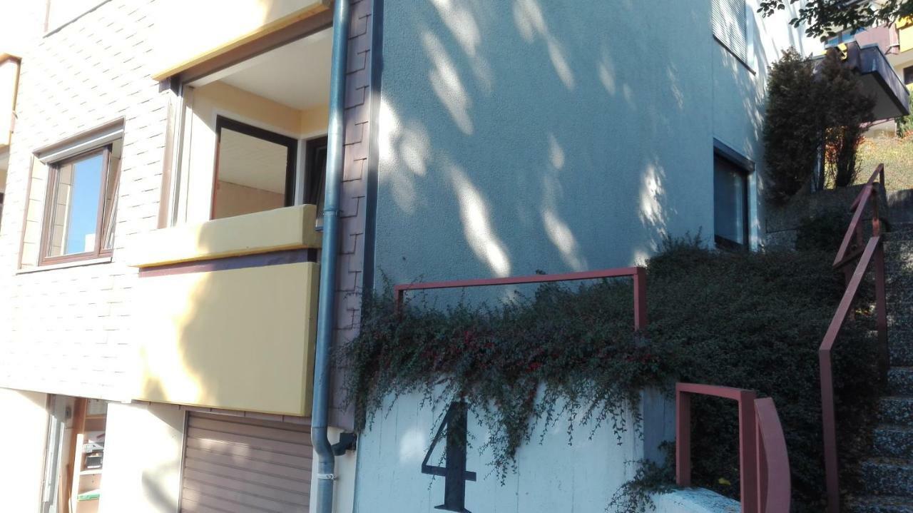 Familien Ferienwohnung Harzer Schoellchen سانكت اندرياسبرغ المظهر الخارجي الصورة